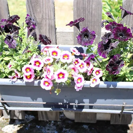 Maison De Campagne Saint-Nicolas-des-Biefs